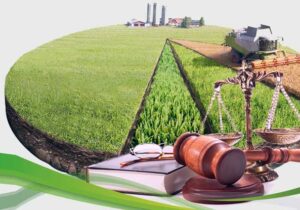 reforma agraria